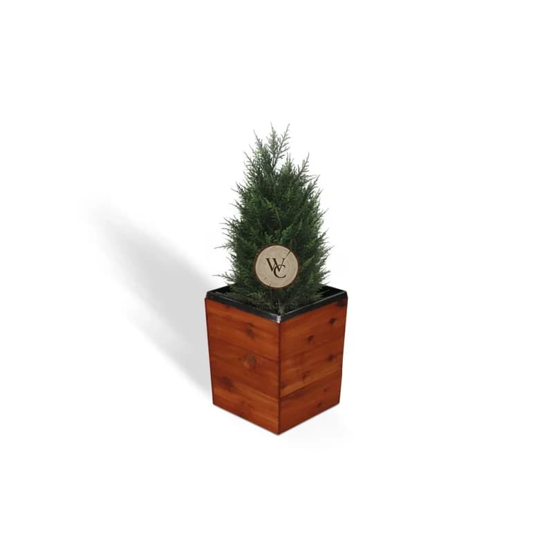 Mango Wood Planter Box, another view